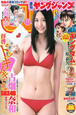 孤战迷城电视剧